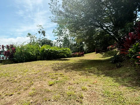 Sunny cleared lot with tropical plants and trees near La Fortuna, Costa Rica, ideal for building a home or vacation property.