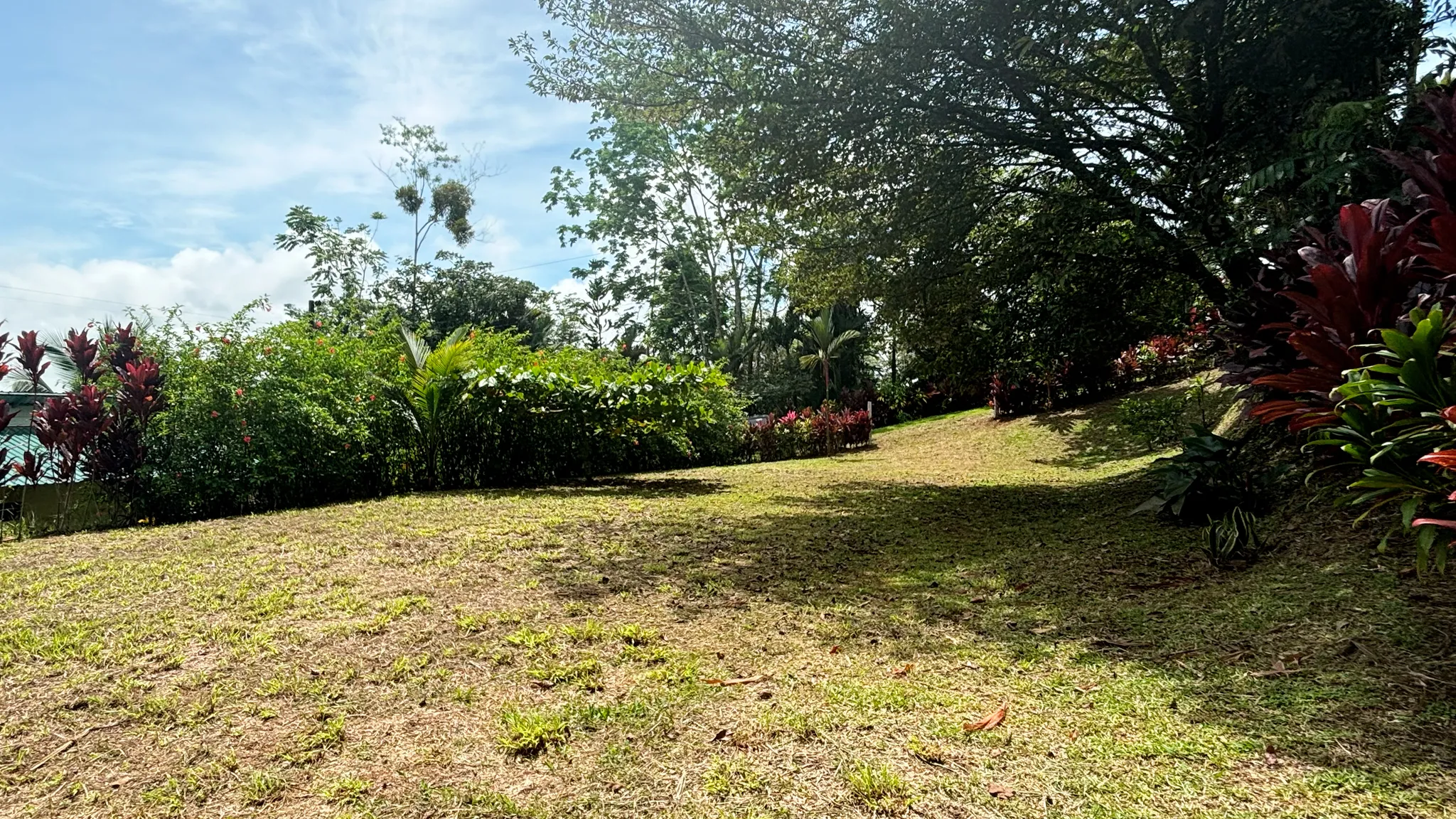 Sunny cleared lot with tropical plants and trees near La Fortuna, Costa Rica, ideal for building a home or vacation property.