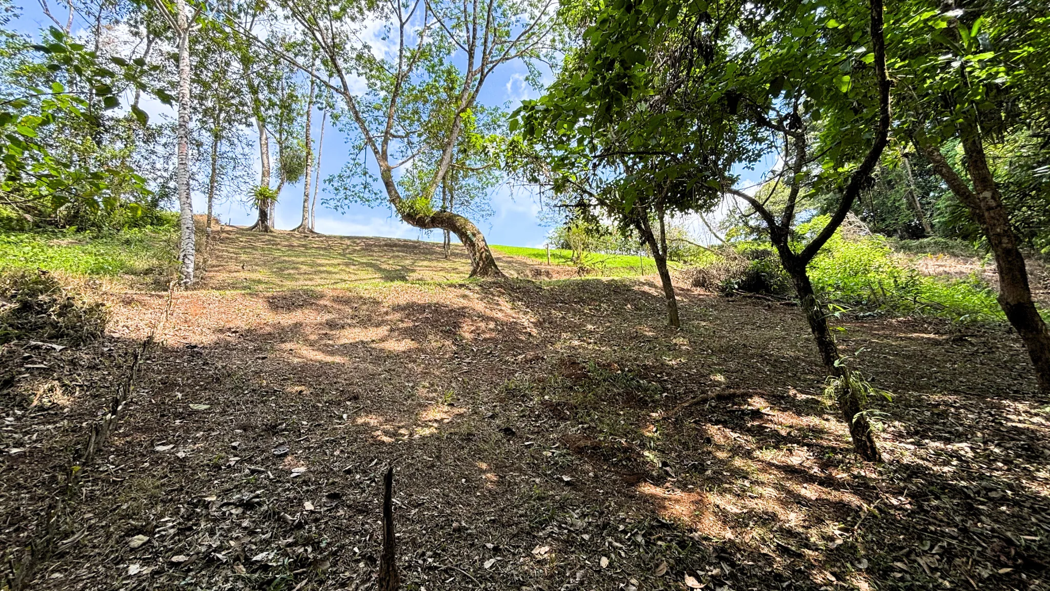 Sloped lot with scattered trees and open sky near La Fortuna, Costa Rica, offering natural surroundings and potential for building a home or retreat.