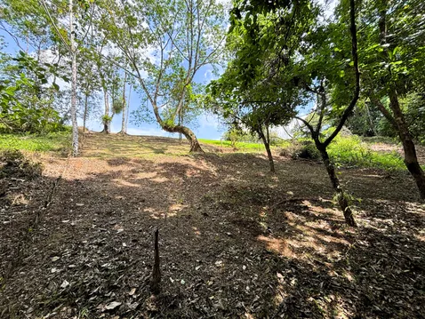 Sloped lot with scattered trees and open sky near La Fortuna, Costa Rica, offering natural surroundings and potential for building a home or retreat.